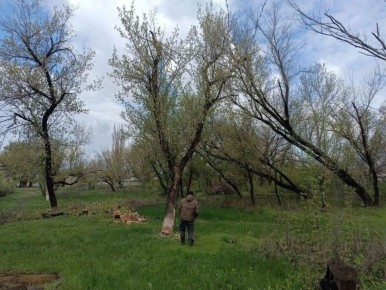 � ������ ������� ����� � �� ������� ��� ��������� ��������� ��������