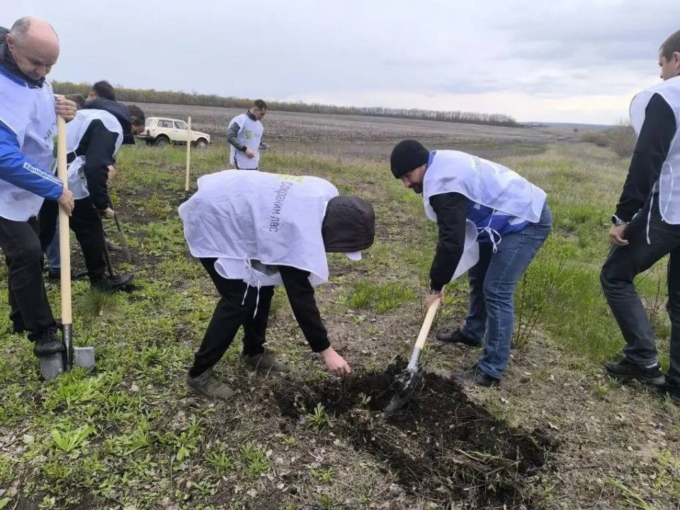 Зинаида Наден: Белокуракинский муниципальный округ присоединился к международной акции "Сад Памяти" Зинаида Наден: Белокуракинский муниципальный округ присоединился к международной акции "Сад Памяти"