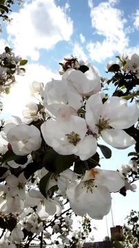 � ������ �����, ������������� �����!