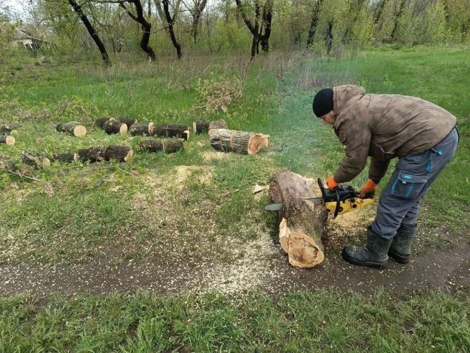 В посёлке Юрьевка рядом с ДК спилили ещё несколько аварийных деревьев В посёлке Юрьевка рядом с ДК спилили ещё несколько аварийных деревьев