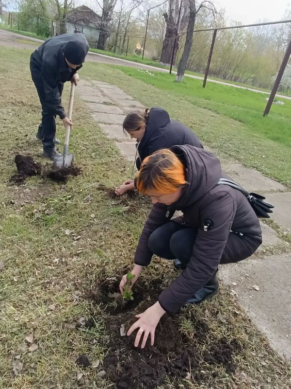 В селе Алексеевка Белокуракинского муниципального округа присоединились к акции "Сад памяти" В селе Алексеевка Белокуракинского муниципального округа присоединились к акции "Сад памяти"
