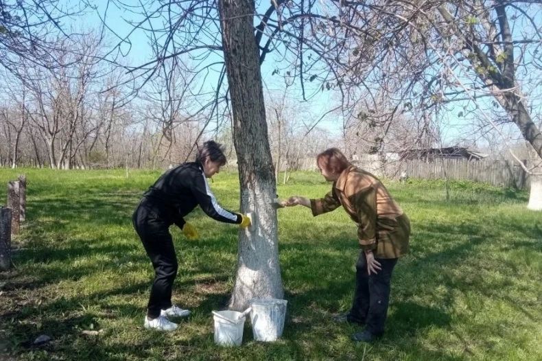 Субботник провели в селе Александровка Субботник провели в селе Александровка