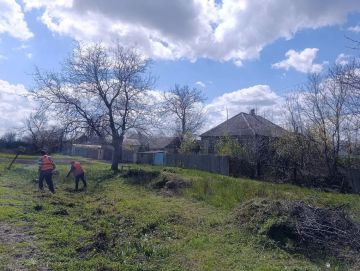 ������ ��������: ������������ ������ ���������� ������ ��������� �������� ��� ���������������� ������������ ����������� � ��������� �����