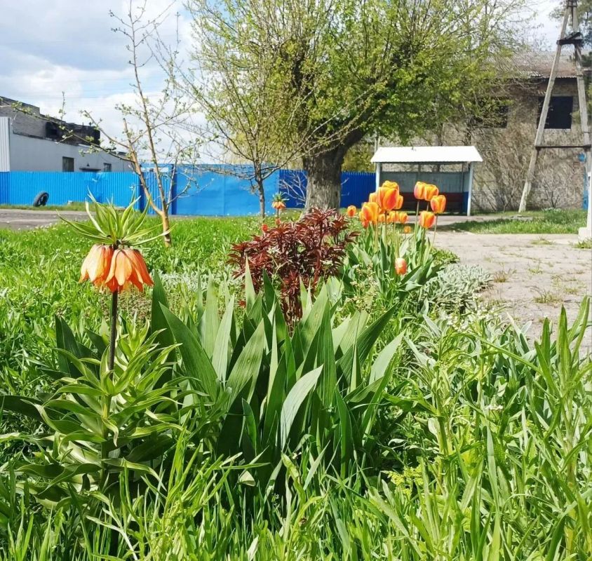 С приходом весны жители Дубовского с удвоенной энергией берутся за благоустройство родного посёлка С приходом весны жители Дубовского с удвоенной энергией берутся за благоустройство родного посёлка
