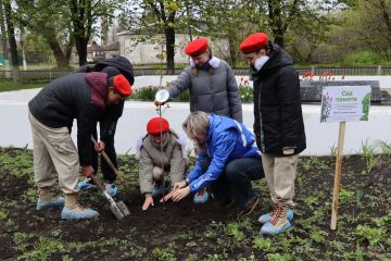 � �������� �������� ���� ������