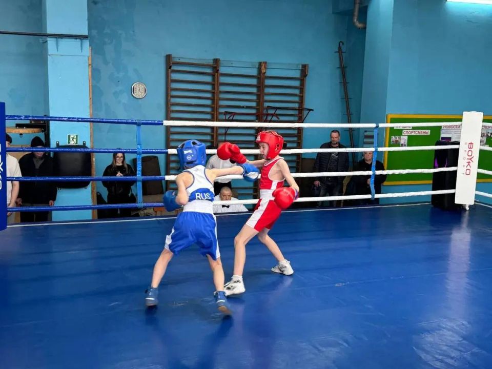 В Краснолучском спортивном комплексе проходит Республиканский турнир по боксу, посвященный памяти Заслуженного тренера УССР Сергеева Анатолия Куприяновича В Краснолучском спортивном комплексе проходит Республиканский турнир по боксу, посвященный памяти Заслуженного тренера УССР Сергеева Анатолия Куприяновича