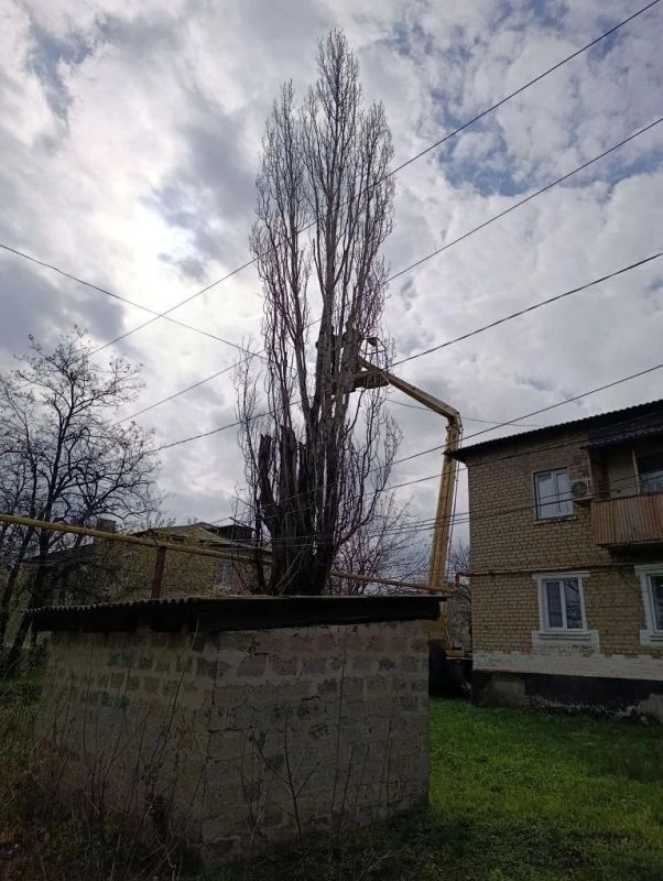 Безопасность превыше всего: Ровеньковские коммунальщики наводят порядок в Ясеновском по обращениям граждан Безопасность превыше всего: Ровеньковские коммунальщики наводят порядок в Ясеновском по обращениям граждан
