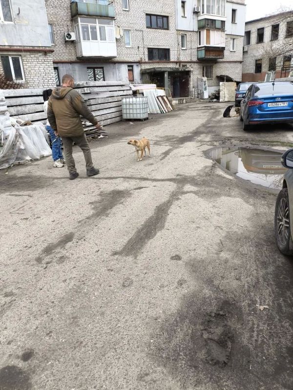 В Лисичанске продолжаются мероприятия по обращению с животными без владельцев В Лисичанске продолжаются мероприятия по обращению с животными без владельцев