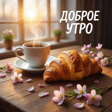 ������� ������� - 24 ������