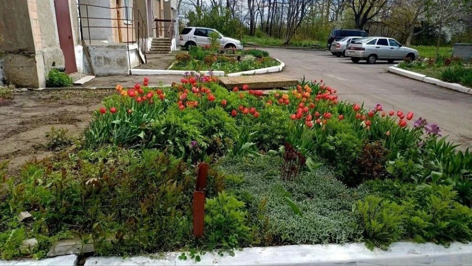 С приходом весны жители Дубовского с удвоенной энергией берутся за благоустройство родного посёлка С приходом весны жители Дубовского с удвоенной энергией берутся за благоустройство родного посёлка