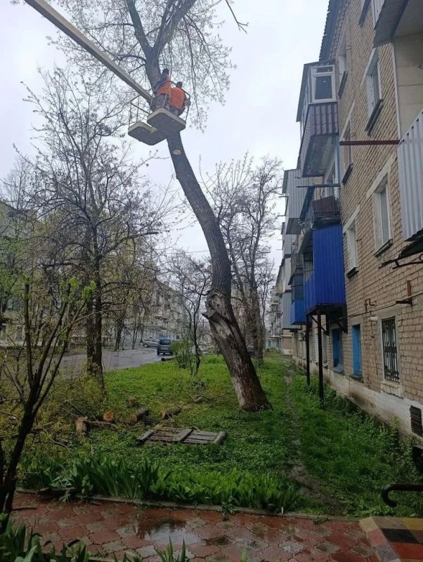 Безопасность превыше всего: Ровеньковские коммунальщики наводят порядок в Ясеновском по обращениям граждан Безопасность превыше всего: Ровеньковские коммунальщики наводят порядок в Ясеновском по обращениям граждан