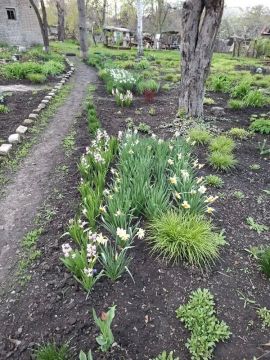 � �������� ����� ������ ���������� � ��������� �������� ������� �� ��������������� ������� ������