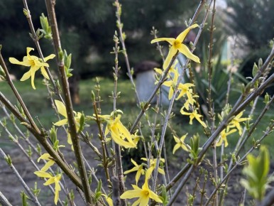 � ������ �����, ������ ����������� �������������� ������!