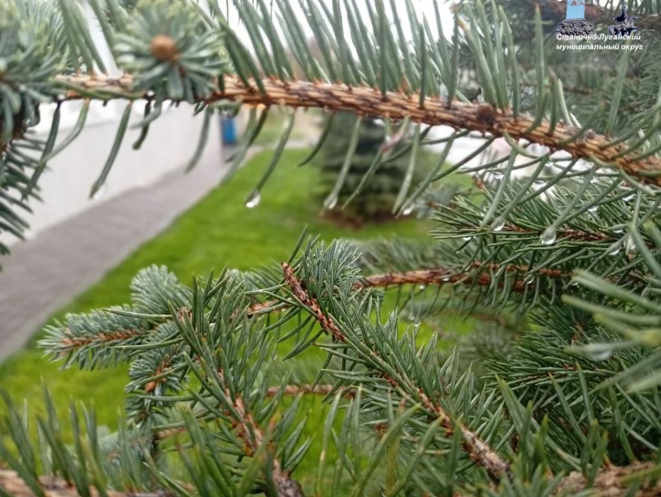 Доброе утро!. Пятница 24 апреля : ночью +6…+8° днём +8…+11°C Доброе утро!. Пятница 24 апреля : ночью +6…+8° днём +8…+11°C