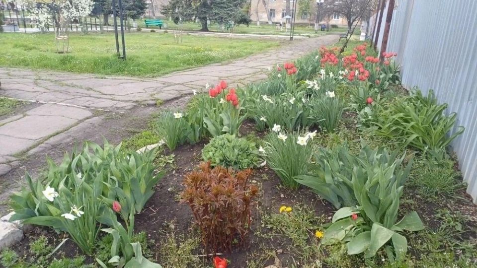 С приходом весны жители Дубовского с удвоенной энергией берутся за благоустройство родного посёлка С приходом весны жители Дубовского с удвоенной энергией берутся за благоустройство родного посёлка
