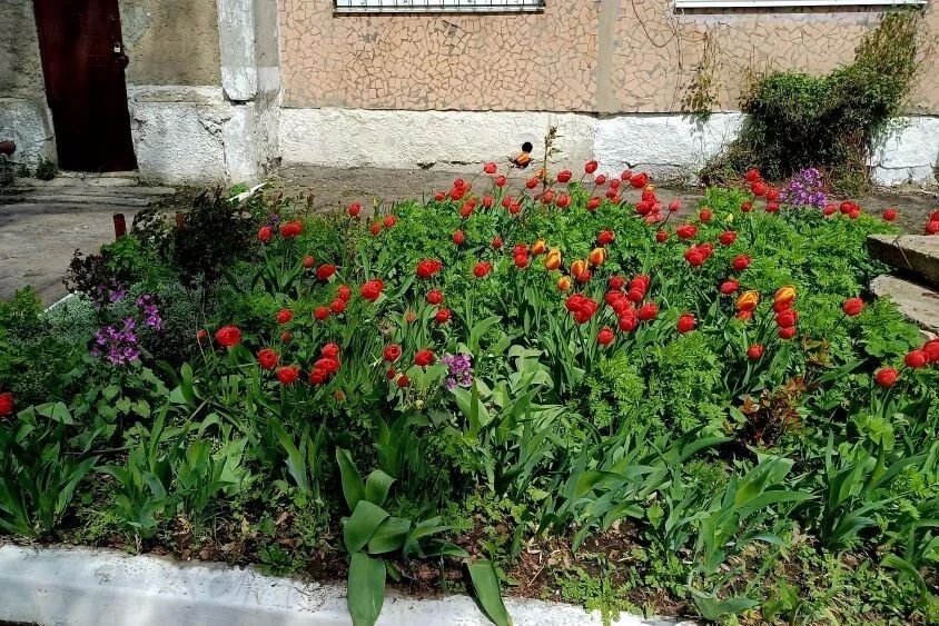С приходом весны жители Дубовского с удвоенной энергией берутся за благоустройство родного посёлка С приходом весны жители Дубовского с удвоенной энергией берутся за благоустройство родного посёлка