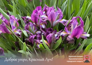 ������ ����, ������������!