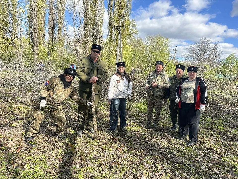 В субботнике в парке Алексеева приняли участие около 400 человек В субботнике в парке Алексеева приняли участие около 400 человек