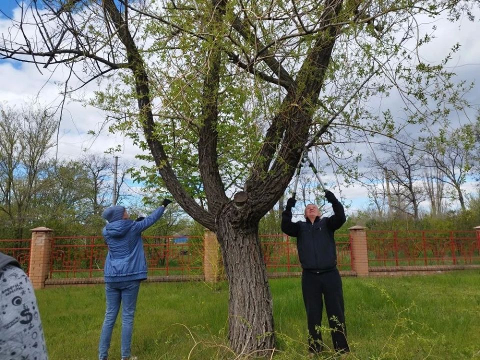 В рамках проведения Всероссийского субботника в населённых пунктах, находящихся в ведении отдела по жизнеобеспечению пгт Краснодон, пгт Энгельсово, пгт Семейкино, были проведены значительные работы по благоустройству В рамках проведения Всероссийского субботника в населённых пунктах, находящихся в ведении отдела по жизнеобеспечению пгт Краснодон, пгт Энгельсово, пгт Семейкино, были проведены значительные работы по благоустройству