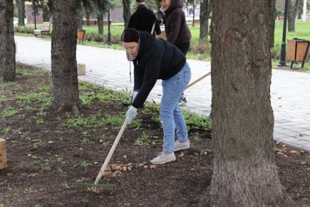 ���������� ������������� ��������� �������������� � �������������� ����������