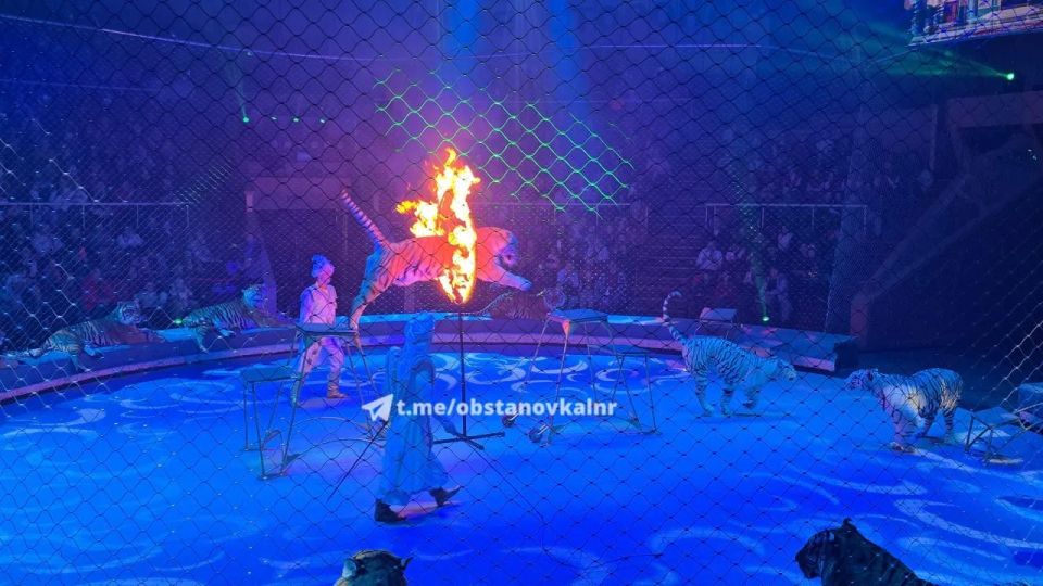 В Луганском цирке братья Запашные представили спектакль «Сказка о золотой рыбке» В Луганском цирке братья Запашные представили спектакль «Сказка о золотой рыбке»