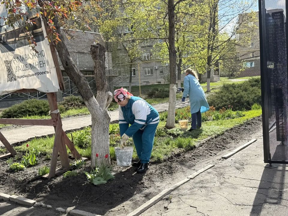 Чистота города — в наших руках Чистота города — в наших руках