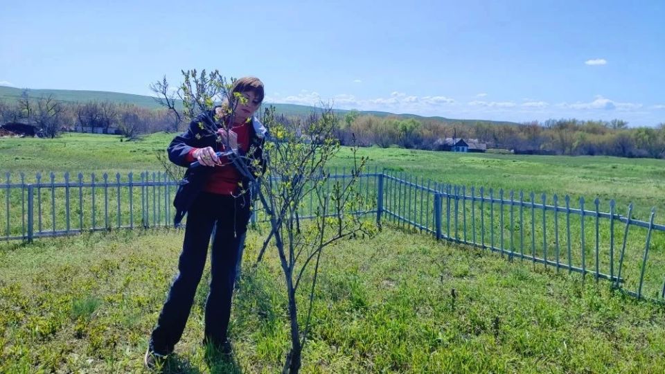 В рамках проведения Всероссийского субботника в населённых пунктах, находящихся в ведении отдела по жизнеобеспечению пгт Краснодон, пгт Энгельсово, пгт Семейкино, были проведены значительные работы по благоустройству В рамках проведения Всероссийского субботника в населённых пунктах, находящихся в ведении отдела по жизнеобеспечению пгт Краснодон, пгт Энгельсово, пгт Семейкино, были проведены значительные работы по благоустройству