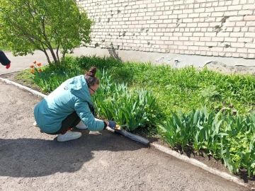 25 ������ � ��������� �������, ����������� � ������� ������ �� ���������������� ��� �������������, �. ��������������, �. ����������, �. ����������, ������ ������������� ���������