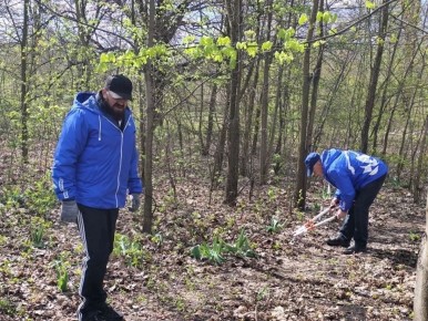 � ���������� �������� ����: �������� � ����������� ������� � ������� ��������