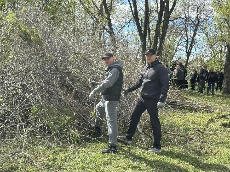 В субботнике в парке Алексеева приняли участие около 400 человек В субботнике в парке Алексеева приняли участие около 400 человек
