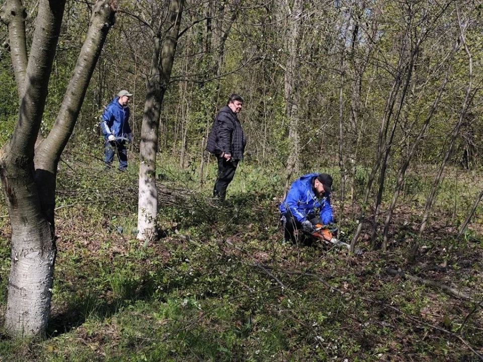 В преддверии памятной даты: депутаты и чернобыльцы привели в порядок мемориал В преддверии памятной даты: депутаты и чернобыльцы привели в порядок мемориал