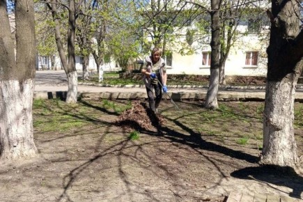 ������ �� ��������������� ������� � ��� �������������