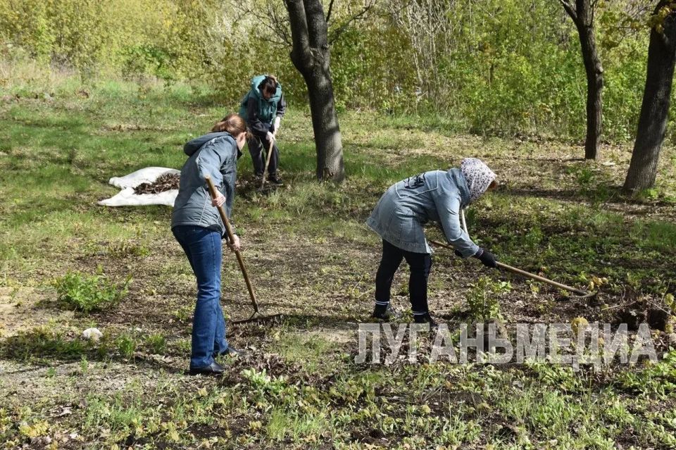 Брянковчане приняли участие во Всероссийском субботнике Брянковчане приняли участие во Всероссийском субботнике