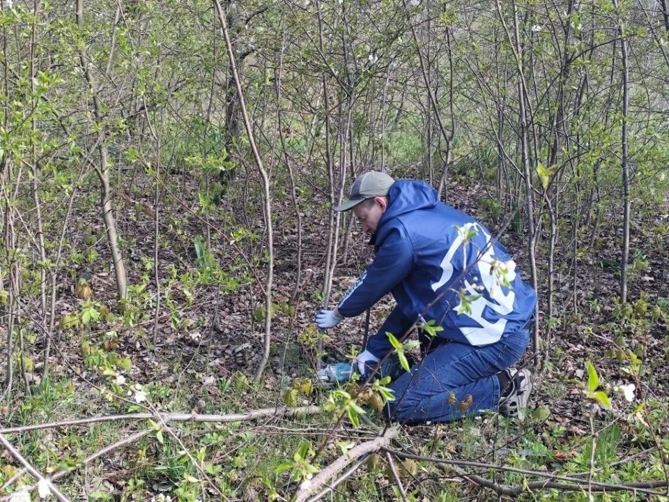 В преддверии памятной даты: депутаты и чернобыльцы привели в порядок мемориал В преддверии памятной даты: депутаты и чернобыльцы привели в порядок мемориал
