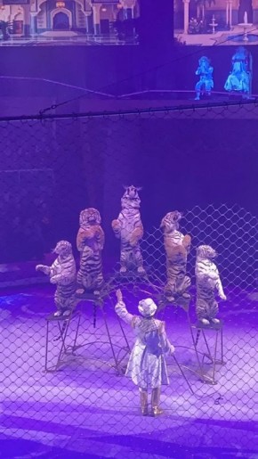 ��������� �������: ���� �� ��������� ������� ������� ������� � ������� ����� �� ����� ���������� �����