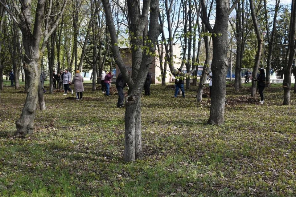 Юлия Кожухарь: Новопсковский МО преобразился благодаря Всероссийскому субботнику в рамках проекта «Формирование комфортной городской среды»! Юлия Кожухарь: Новопсковский МО преобразился благодаря Всероссийскому субботнику в рамках проекта «Формирование комфортной городской среды»!
