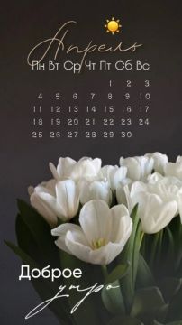 � ������ �����, ������������� �����!