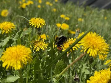 � ������ �����, ������ ����������� �������������� ������!