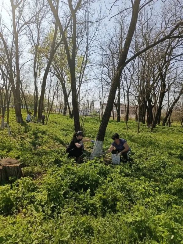 Юлия Кожухарь: Новопсковский МО преобразился благодаря Всероссийскому субботнику в рамках проекта «Формирование комфортной городской среды»! Юлия Кожухарь: Новопсковский МО преобразился благодаря Всероссийскому субботнику в рамках проекта «Формирование комфортной городской среды»!
