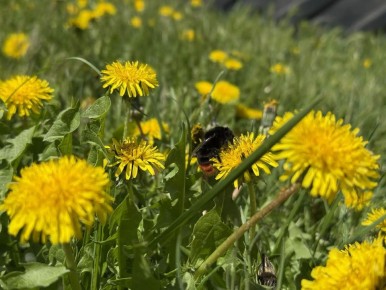 � ������ �����, ������ ����������� �������������� ������!