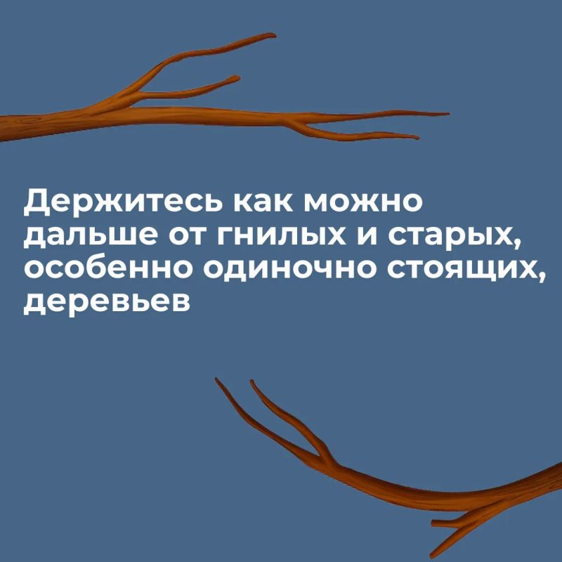 Сильный ветер – это не просто неприятное погодное явление, но и потенциальная опасность Сильный ветер – это не просто неприятное погодное явление, но и потенциальная опасность