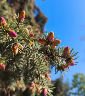 ������ ����, �������!. ������ ���� �������� ���, ����������� ���������� � ������� ������! #����������