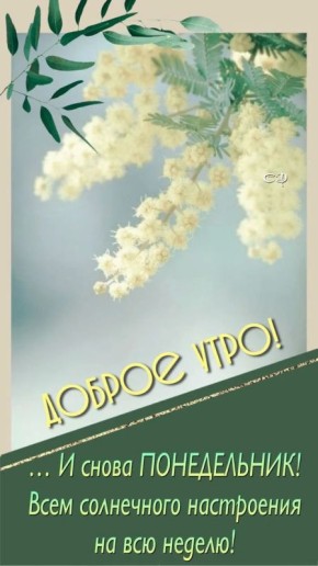 � ������ �����, ������������� �����!