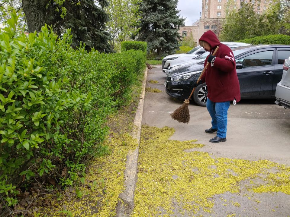 Минприроды ЛНР присоединилось к Всероссийскому субботнику Минприроды ЛНР присоединилось к Всероссийскому субботнику