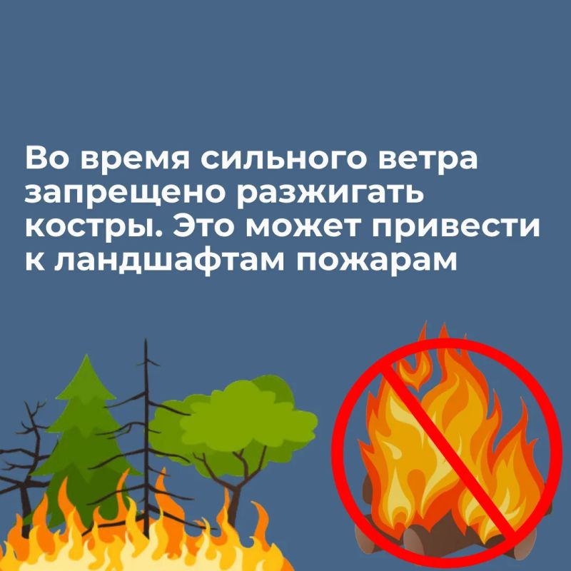 Сильный ветер – это не просто неприятное погодное явление, но и потенциальная опасность Сильный ветер – это не просто неприятное погодное явление, но и потенциальная опасность