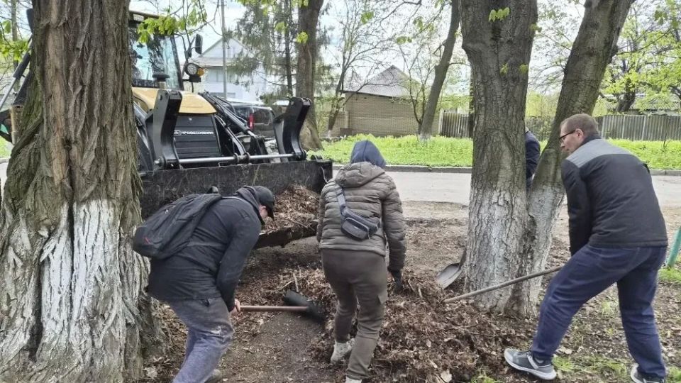 Чистота и порядок в парке: вывоз сухих веток для здоровья природы и красоты города! Чистота и порядок в парке: вывоз сухих веток для здоровья природы и красоты города!