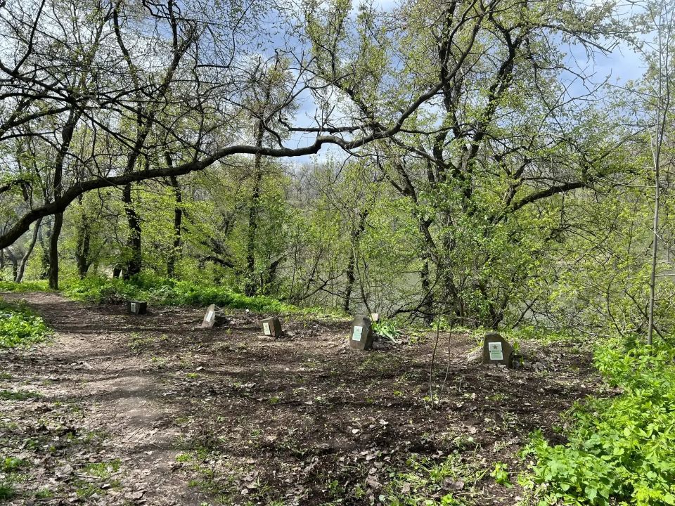 В городе Ровеньки прошёл субботник, посвящённый благоустройству места захоронения воинов Великой Отечественной войны, находящегося на территории городской больницы В городе Ровеньки прошёл субботник, посвящённый благоустройству места захоронения воинов Великой Отечественной войны, находящегося на территории городской больницы