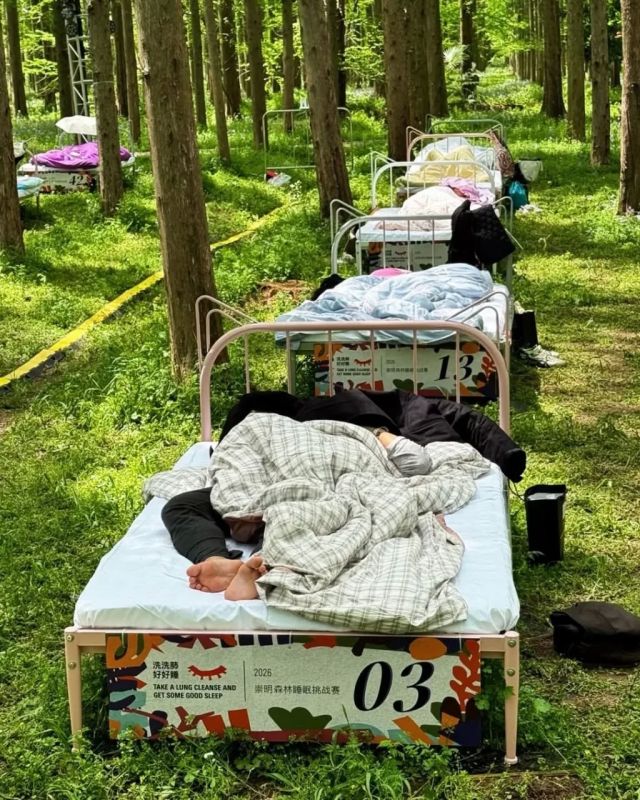 В Шанхае провели чемпионат по сну в лесу В Шанхае провели чемпионат по сну в лесу