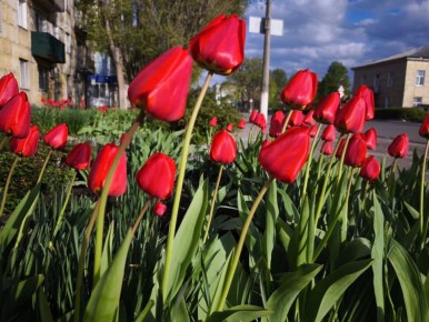 ������ ����, ���������!. ����� ���������� ���� ����� ���������, � ���� ������� ������ ������������� ������! #����������