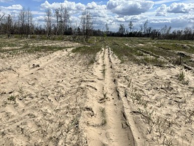 ����� 200 ������ ������ ����: � ���������� ����������� �������� ������� ������ �������